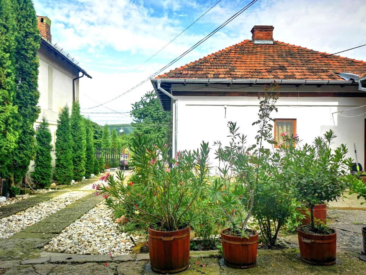 فيلا Casa Petrescu Curtea de Argeş المظهر الخارجي الصورة